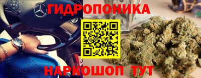 крисы Краснодар