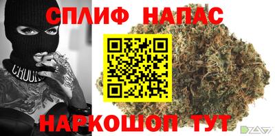 крисы Краснодар