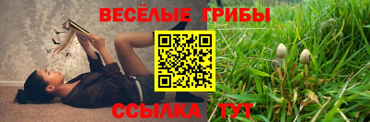 Псилоцибиновые грибы ЛСД  как найти закладки  Коммунар  Вход с VPN 